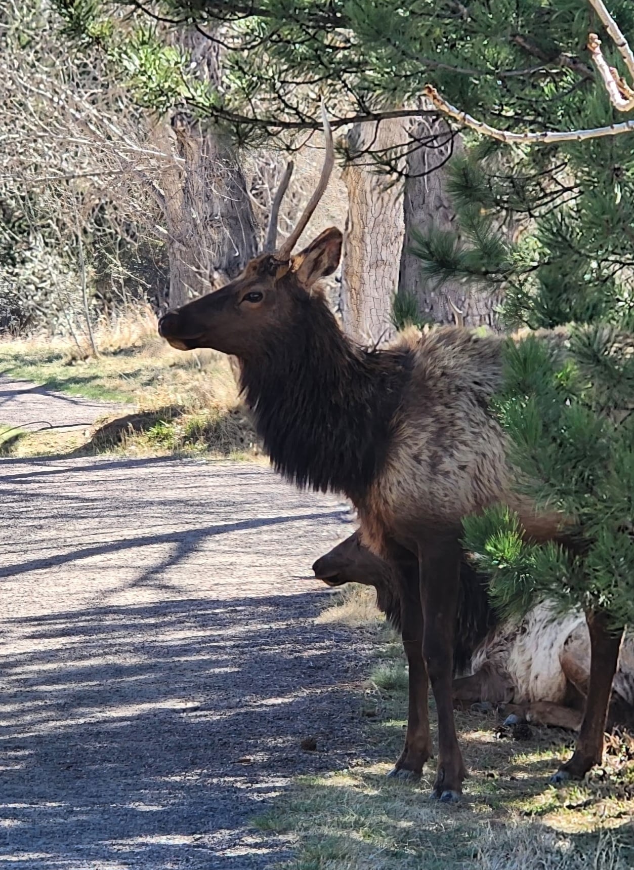 Estes Park near Loveland RV Resort Colorado