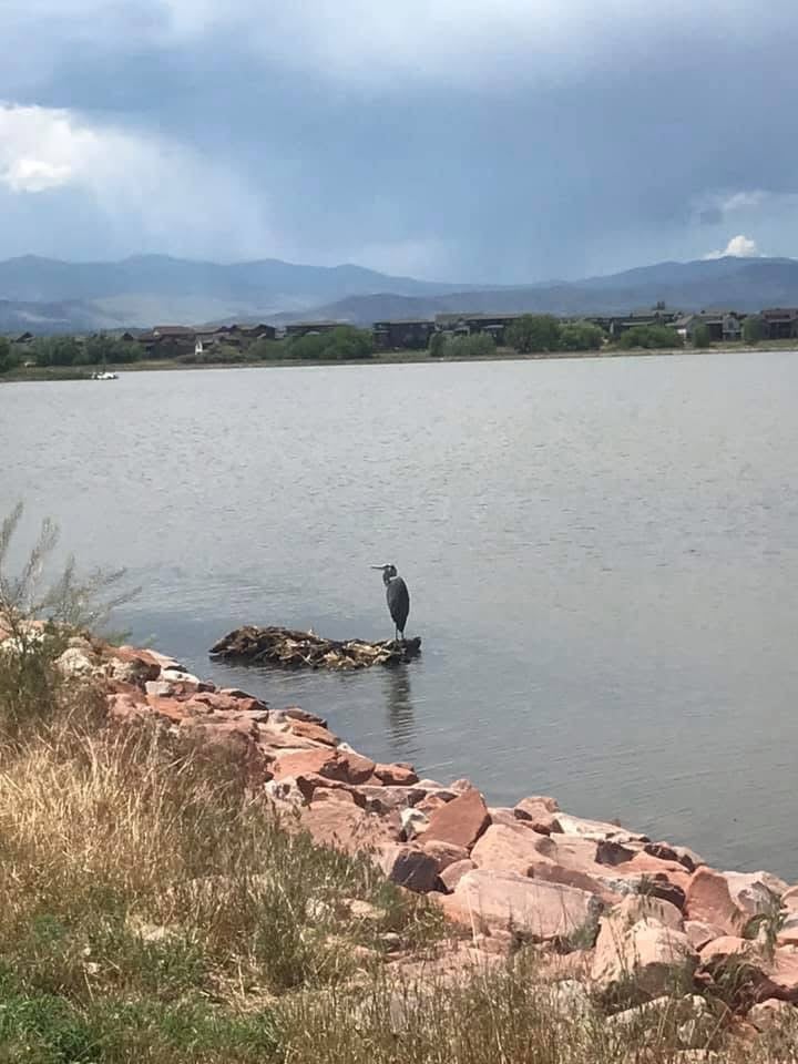 Lakeside fishing view at Loveland RV Resort