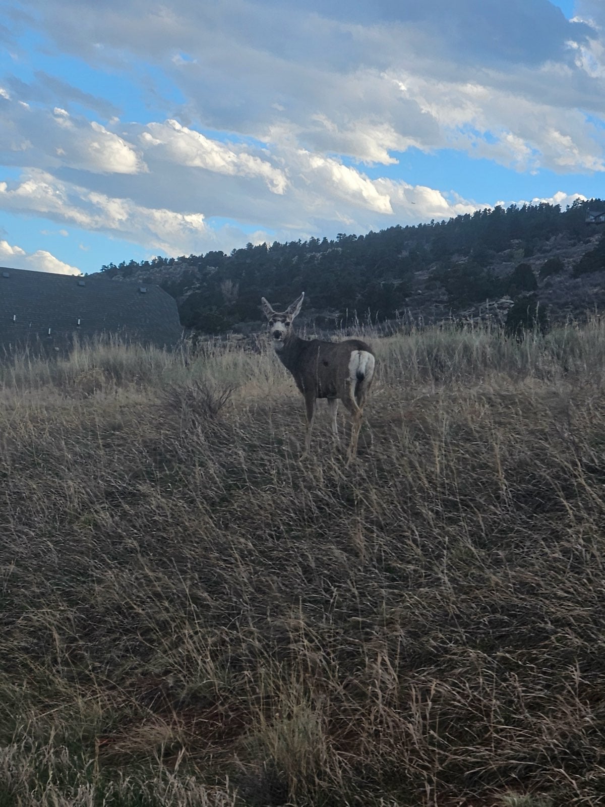 Rocky Mountain National Park near Loveland RV Resort Colorado