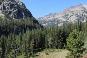 Evergreen forest valley beneath rugged granite mountains.