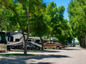 Large motorhomes and fifth wheels parked on spacious, tree-lined RV sites at Loveland RV Resort.
